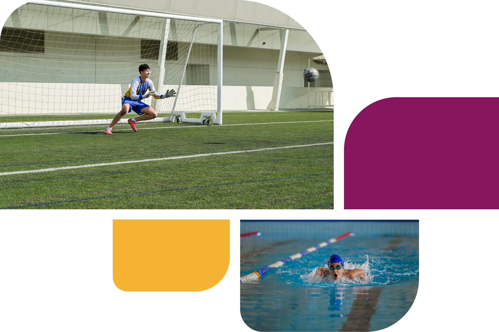 WEK_Elite Sports